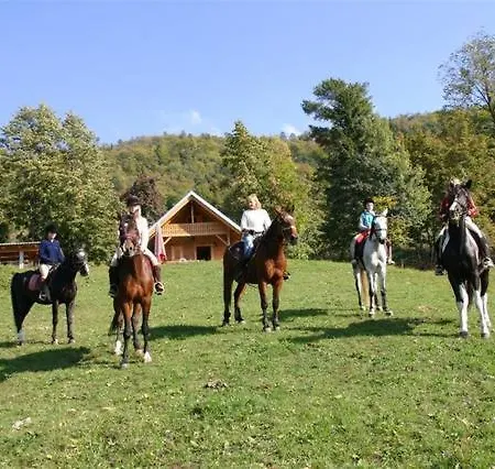 Zima Zirovnica