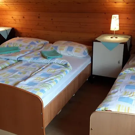Guest house Zima Zirovnica